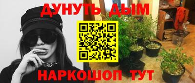 mdpv Краснодар