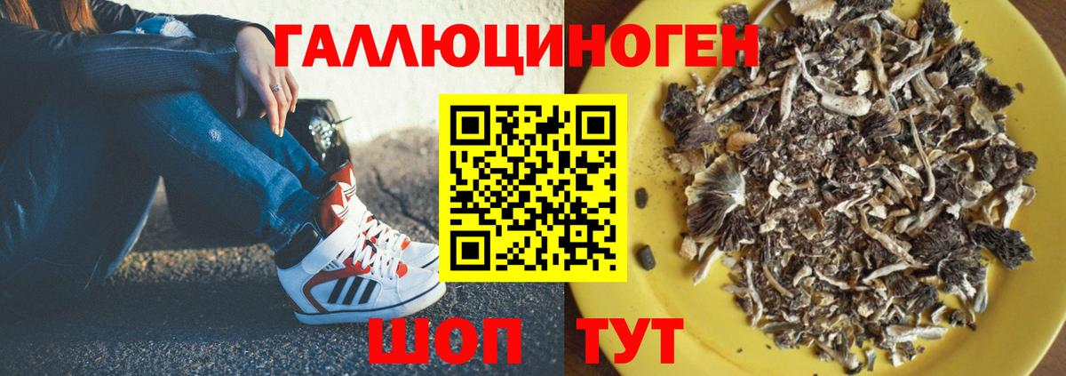 Россия  Псилоцибиновые грибы GOLDEN TEACHER  Вход с VPN 